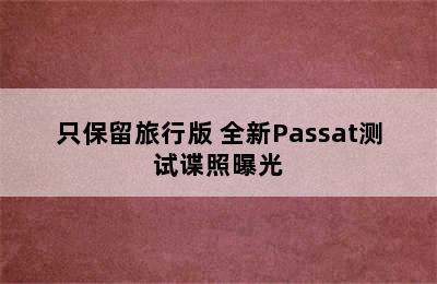 只保留旅行版 全新Passat测试谍照曝光